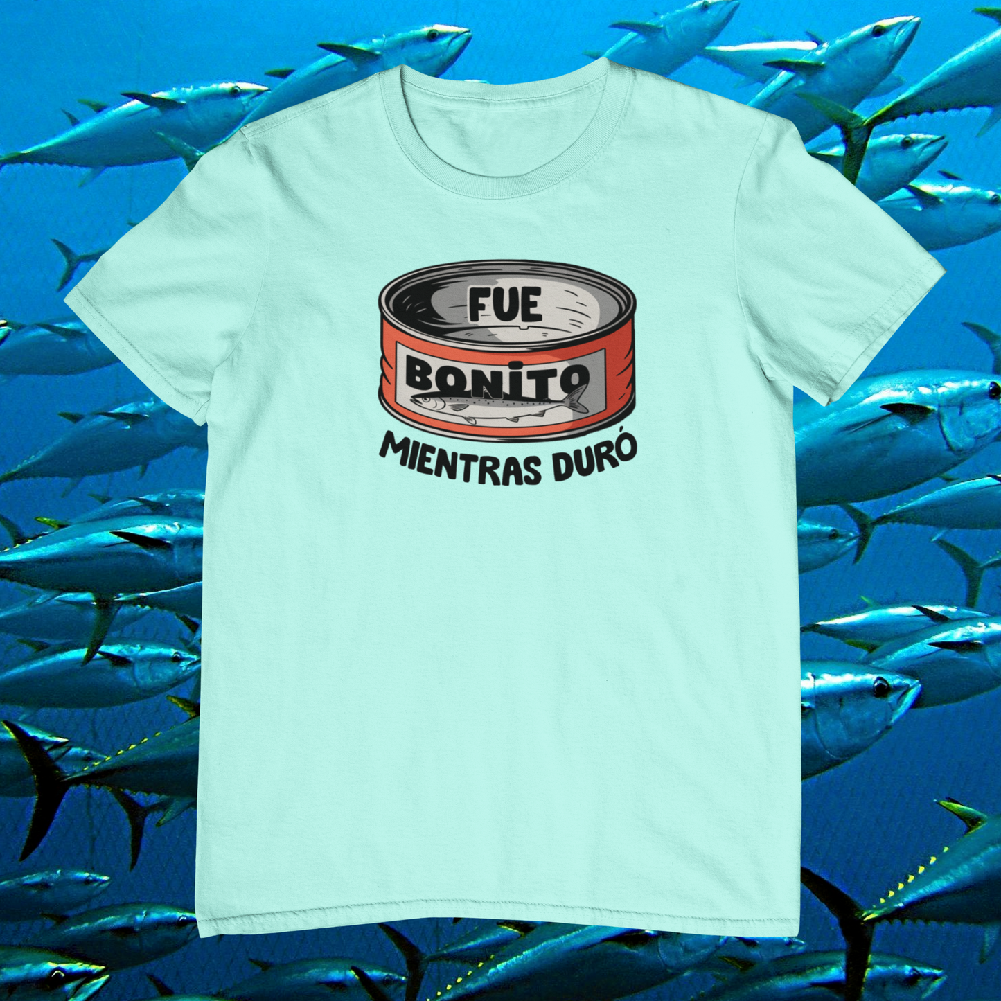 Camiseta Fue Bonito Mientras duró